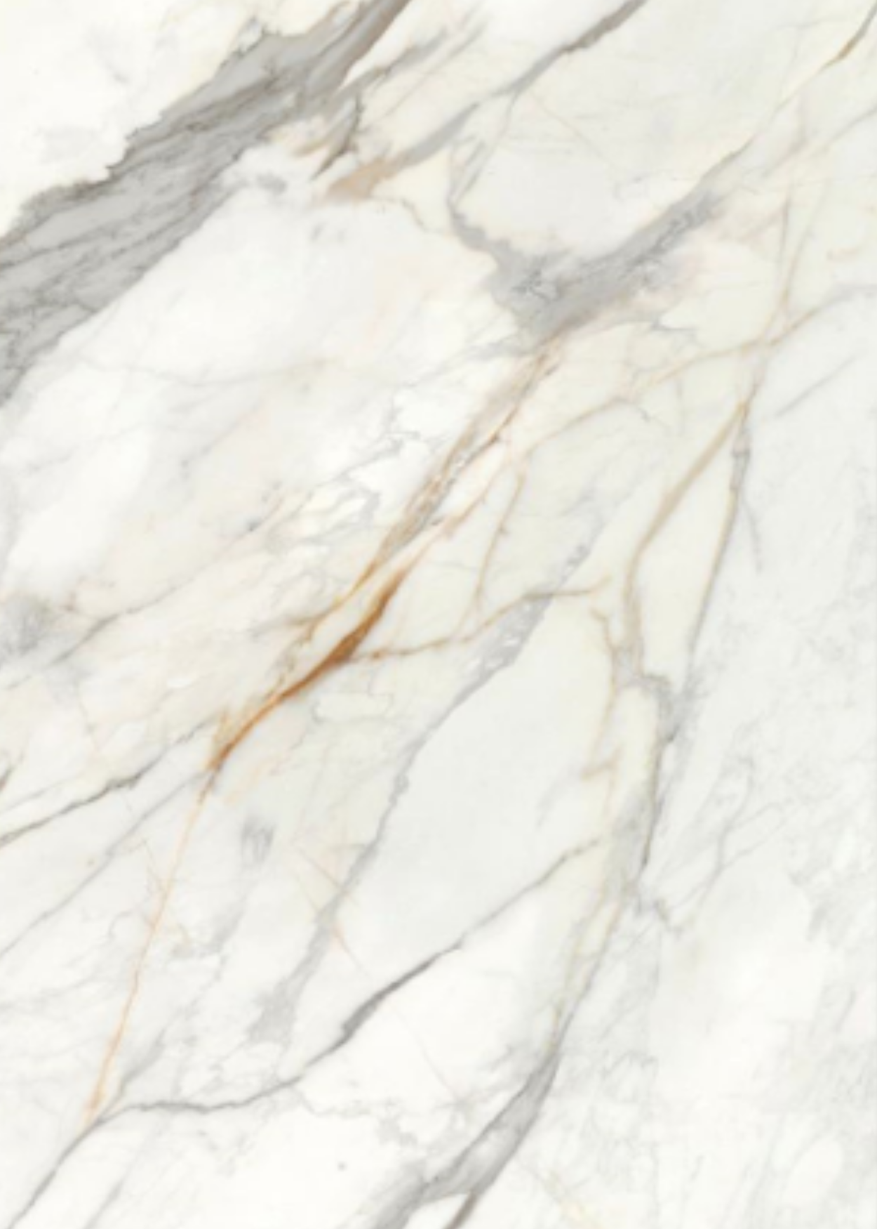 Panelux Calacatta Borghini